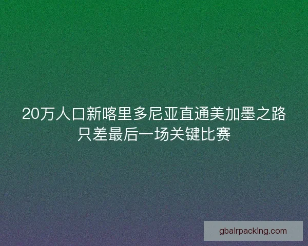 20万人口新喀里多尼亚直通美加墨之路只差最后一场关键比赛